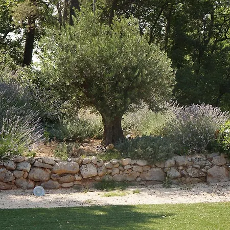 Sainte Victoire Aix En Provence Villa Aix-en-Provence